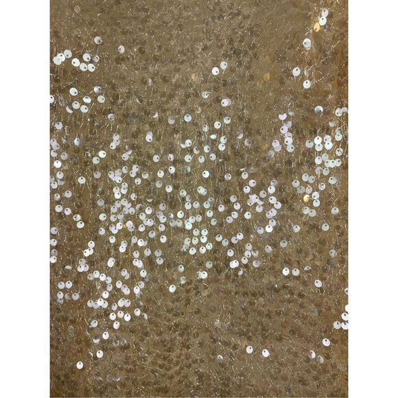 Sunday in Brooklyn Anthropology Sequin Pull Over Sheer Top Size XS Sexy Party - Picture 6 of 9